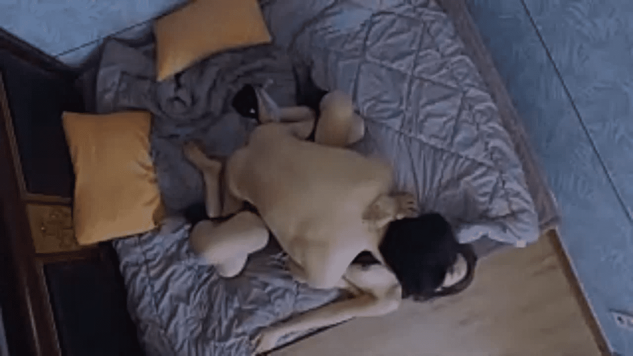 (1:12 hours)- Japanese Porn Incest Full Porn Video